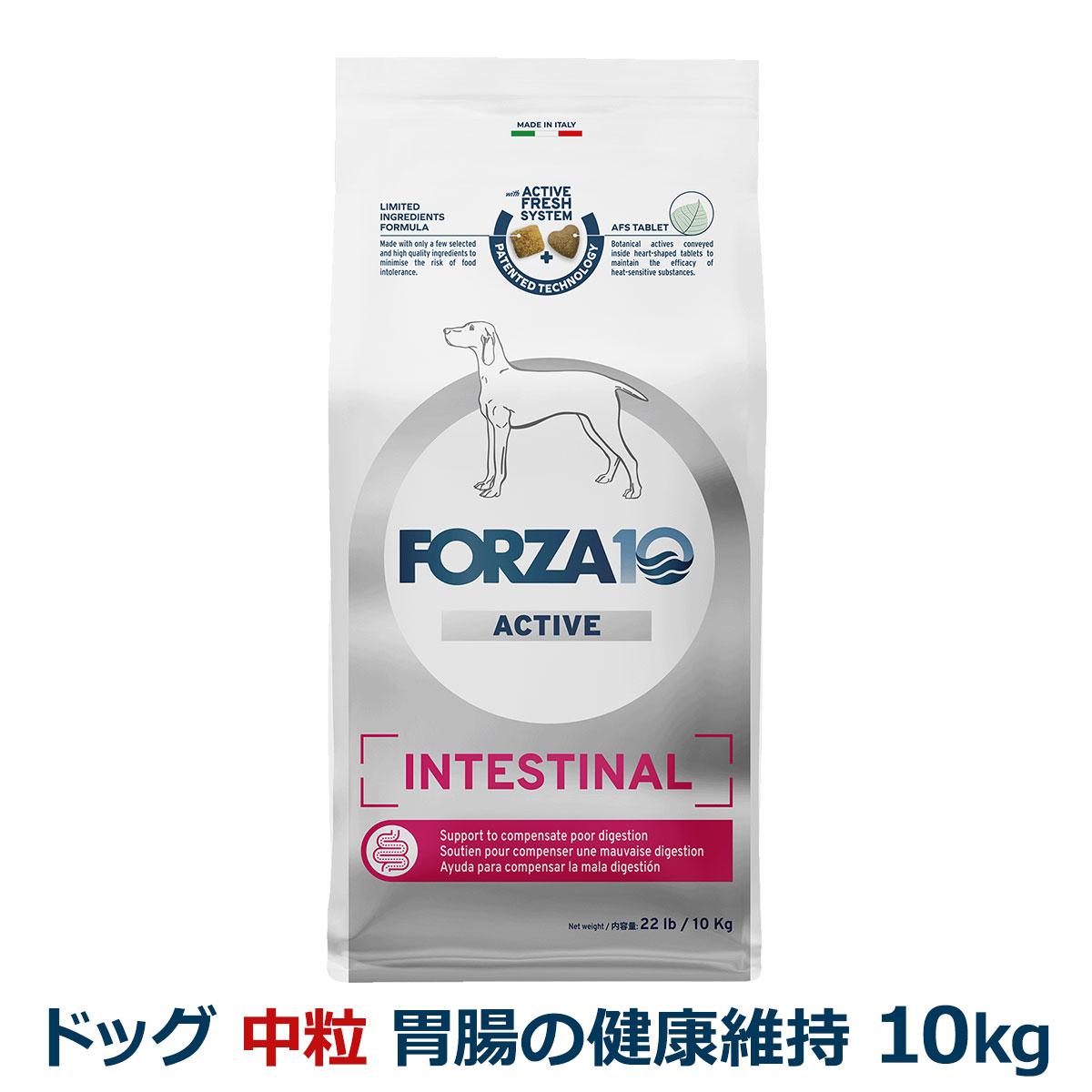 FORZA10　フォルツァディエチ　インテスティナルアクティブ　ミディアム　中粒　10kg