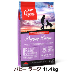 オリジン　パピーラージ　11.4kg