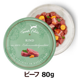 【順次リニューアル変更】テラフェリス　キャット　ビーフ80g