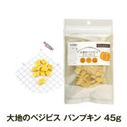 ナチュラルハーベストT　大地のベジビス　パンプキン　45g