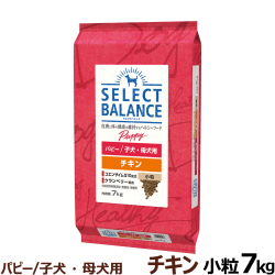 セレクトバランス　パピー　チキン小粒7kg