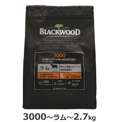 【順次リニューアル変更】ブラックウッド　3000　2.7kg