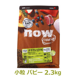 ナウフレッシュ　グレインフリー　スモールブリードパピー　2.3kg　NOW FRESH Grain Free