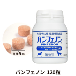 パンフェノン　120粒