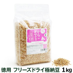 がんこおやじのおやつ亭　国産フリーズドライ極納豆　1kg