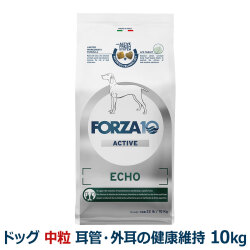 FORZA10　フォルツァディエチ　エコーアクティブ　ミディアム　中粒　10kg