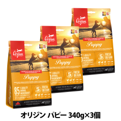 オリジン　パピー　340g×3個