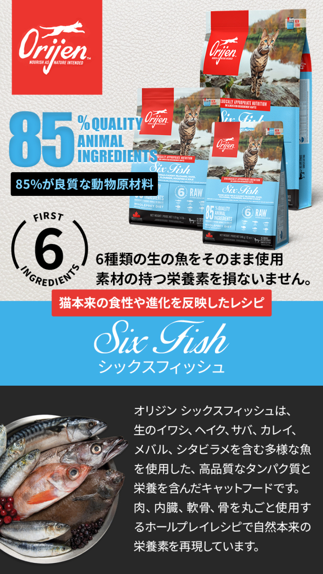 オリジン シックスフィッシュ キャット 340g×3個