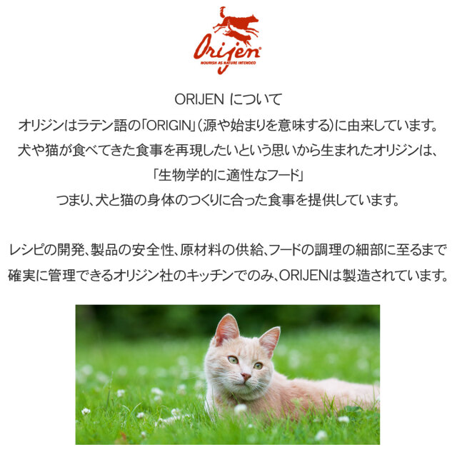 オリジン レジオナルレッド キャット 1.8kg