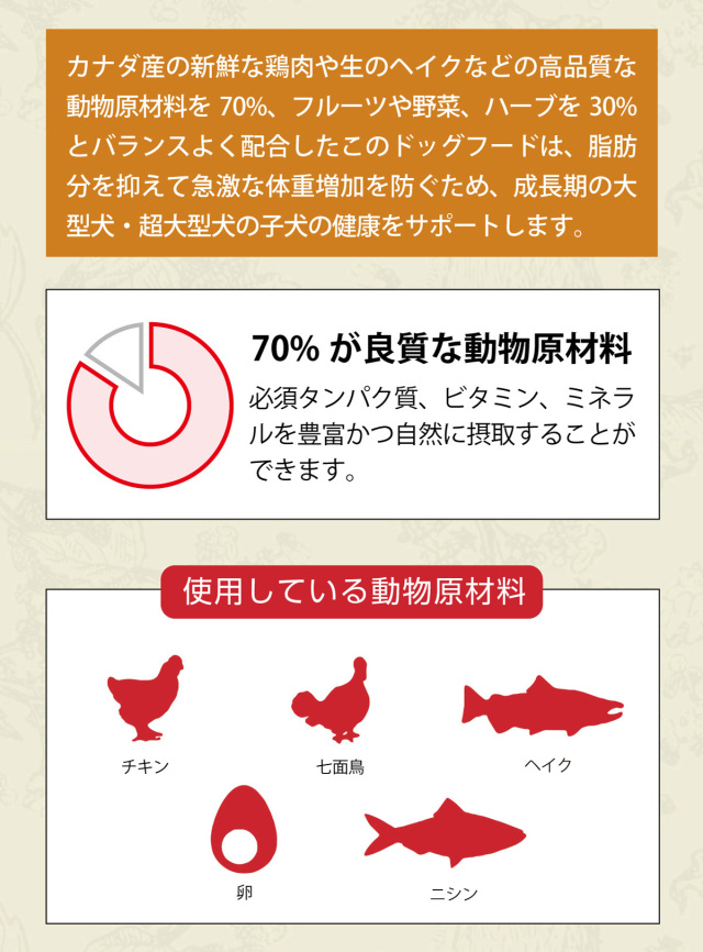 アカナ ドッグフード パピーラージブリード 1個 楽天市場】【送料無料】アカナ パピーラージブリードレシピ 11.4