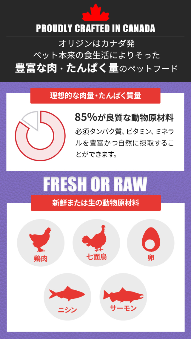 オリジン ラージブリード アダルト 11.4kg