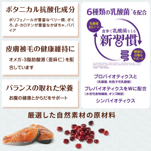 動物看護コアテキト　1〜6巻セット　まとめ売り m29978362804_1.jpg?1749194513