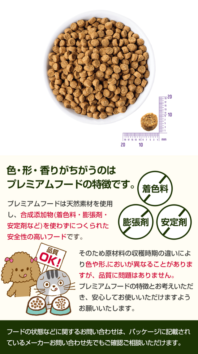 ウェルネス コアダイジェスティブヘルス 成猫用 (1歳以上) サーモン