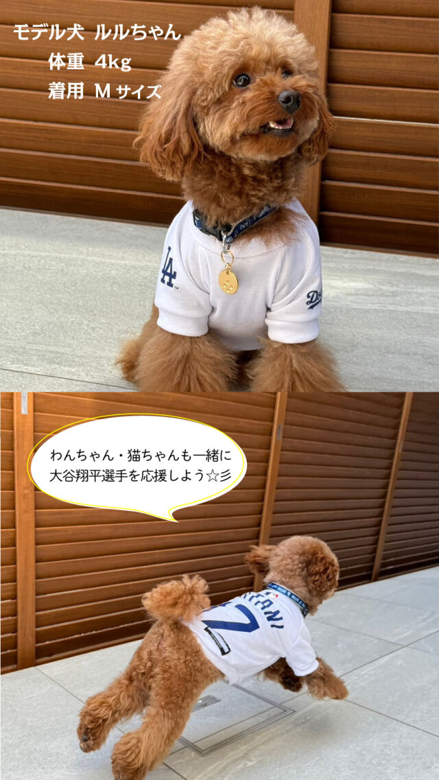 メジャーリーグ MLB公式！大谷翔平選手モデルのペット用グッズ