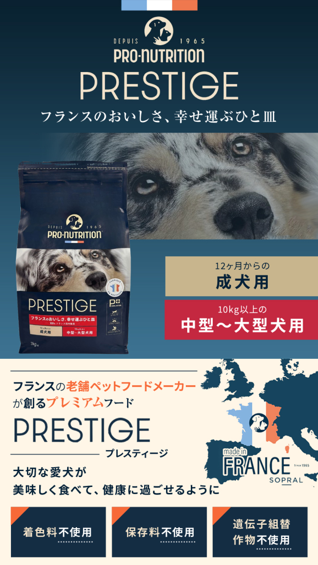 プレスティージ 犬用 アダルト 中粒 3kg