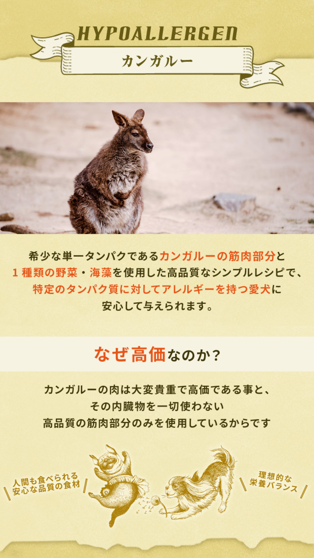 テラカニス ハイポアレルゲン カンガルー肉缶 400g