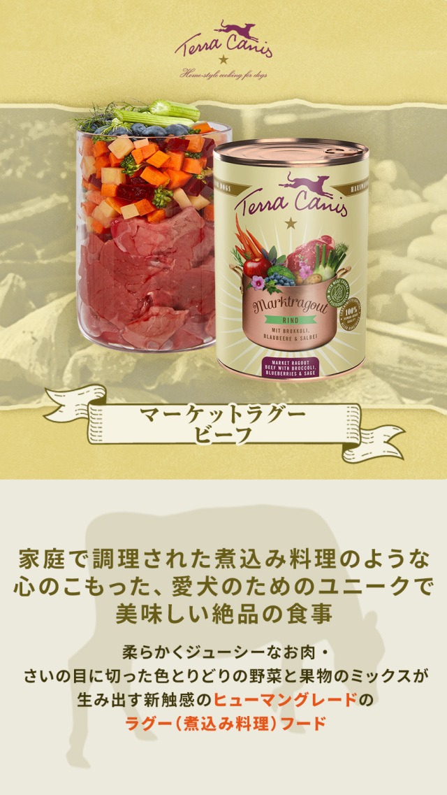 【断捨離中様】テラカニス　マーケットラグー　５個　パピー　１個 テラカニス マーケットラグー ビーフ 385g