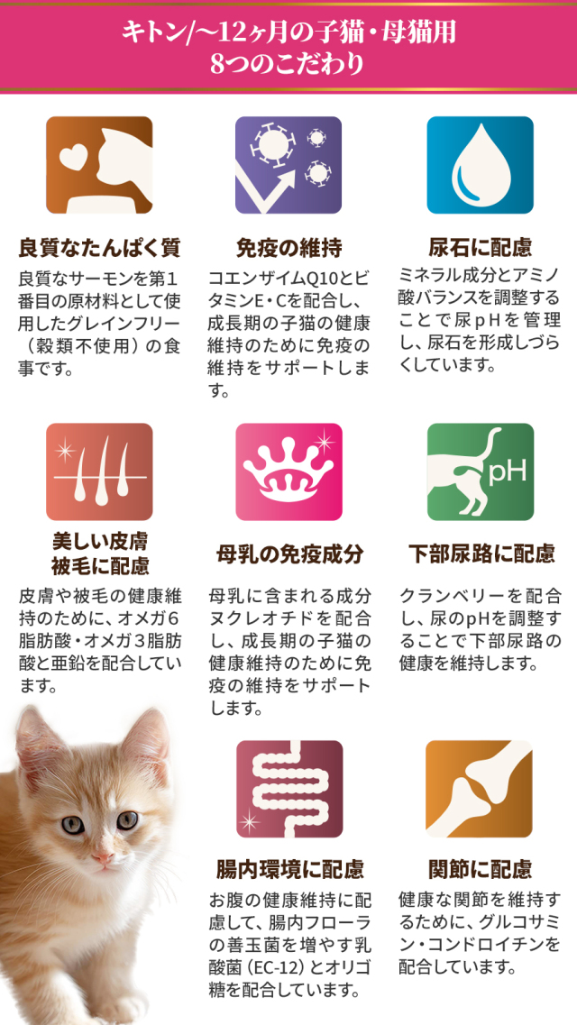 セレクトバランス グレインフリー キャット キトン 贅沢サーモン 12