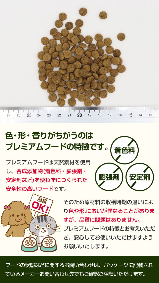 セレクトバランス グレインフリー キャット キトン 贅沢サーモン 12
