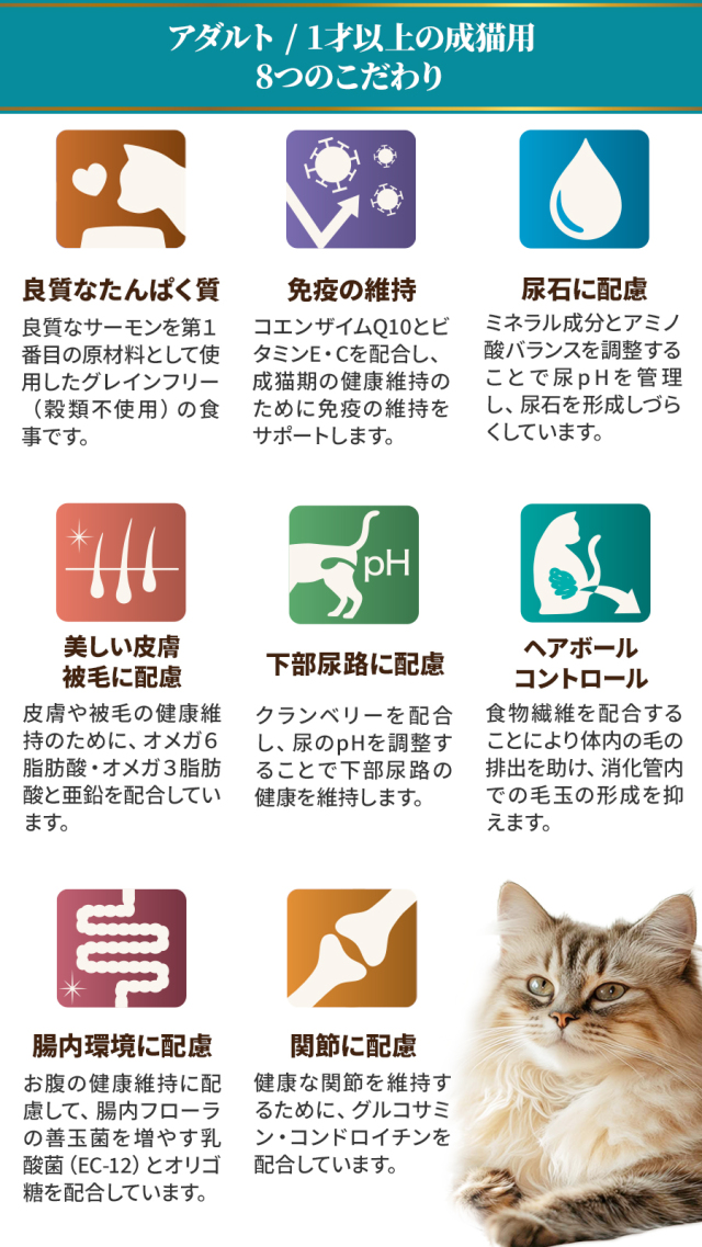 セレクトバランス グレインフリー キャット アダルト 贅沢サーモン 1才