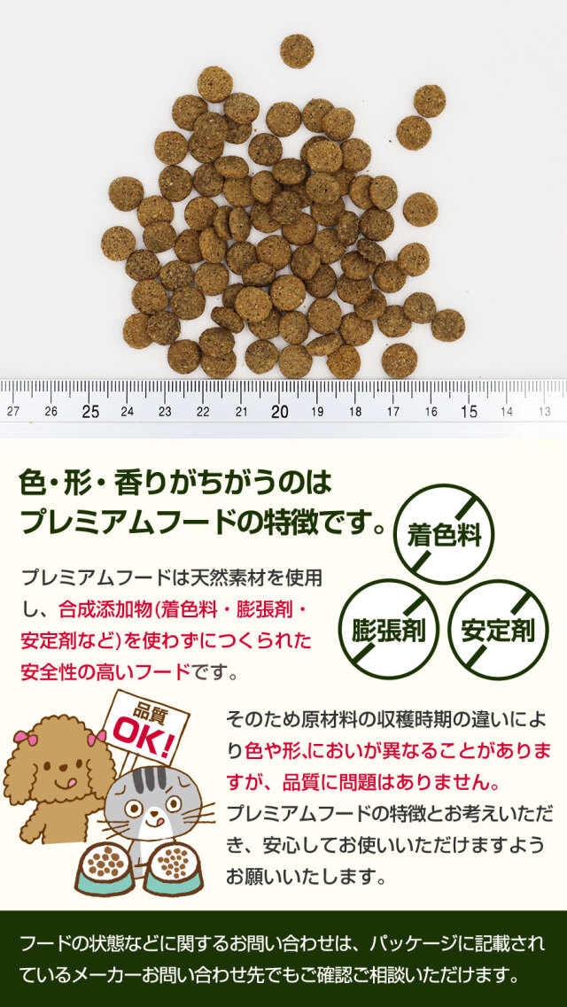 セレクトバランス グレインフリー キャット アダルト 贅沢サーモン 1才