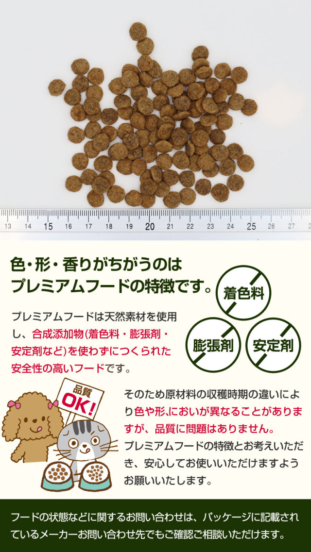 セレクトバランス　グレインフリー　アダルトチキン　小粒　6kg セレクトバランス グレインフリー アダルト チキン 小粒 6kg