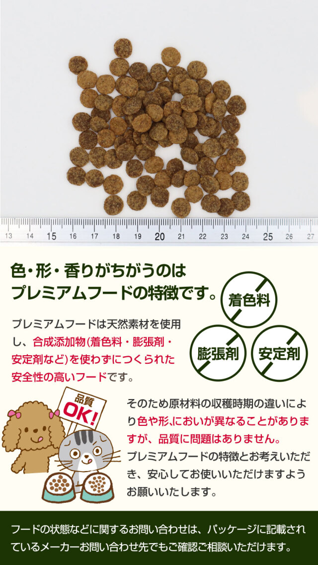 セレクトバランス グレインフリー アダルト サーモン 小粒 6kg