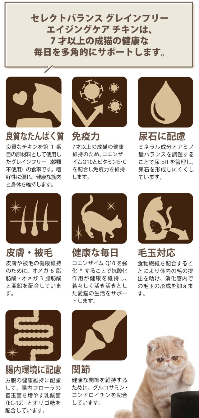 セレクトバランス グレインフリー キャット エイジングケア セレクトバランス グレインフリー キャット エイジングケア