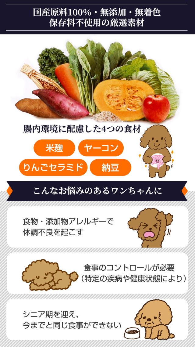 ベースデリ　500g 4種類セット imgrc0107189532.jpg