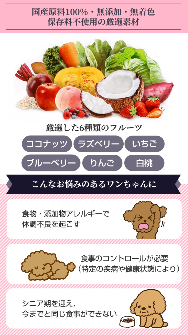 犬用品 ベースデリ フルーツフレーバー3つ