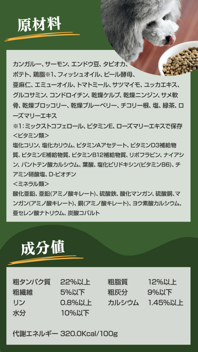 ネイチャーズテイスト ローアレルゲン カンガルーサーモン (成犬