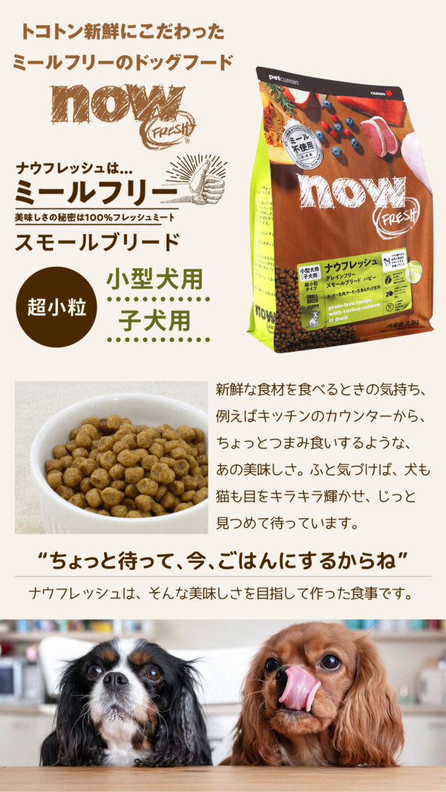 小型犬の子犬が食べやすい超小粒タイプのドッグフード。高栄養フードが