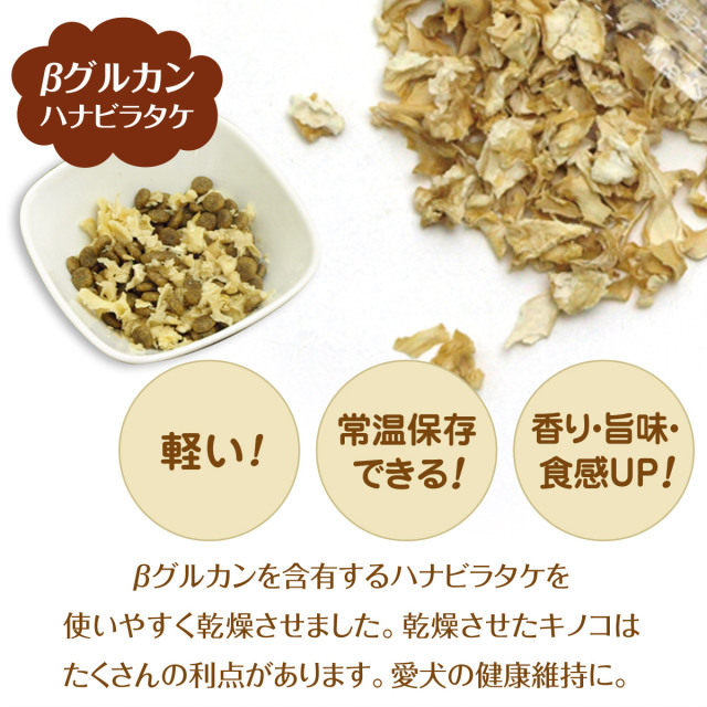 犬 無添加 国産 犬好生活 がんこおやじのきのこ園 ハナビラタケ（乾