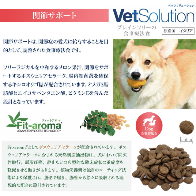 【爆売り！】 800g×4袋 少 VetSolution Monge ドッグフード
