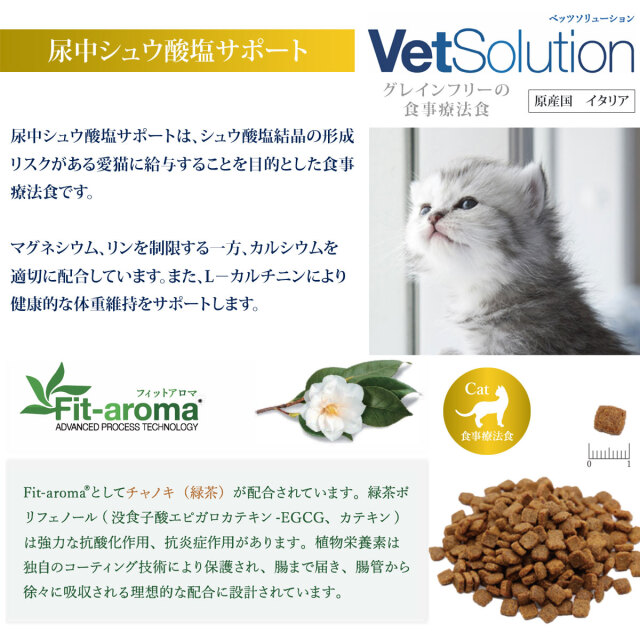  Canin 回復食 237ml 5本　賞味期限2025/12/5 Canin 回復食 237ml 5本 賞味期限2025/12/5 Canin 回復食 237ml 5