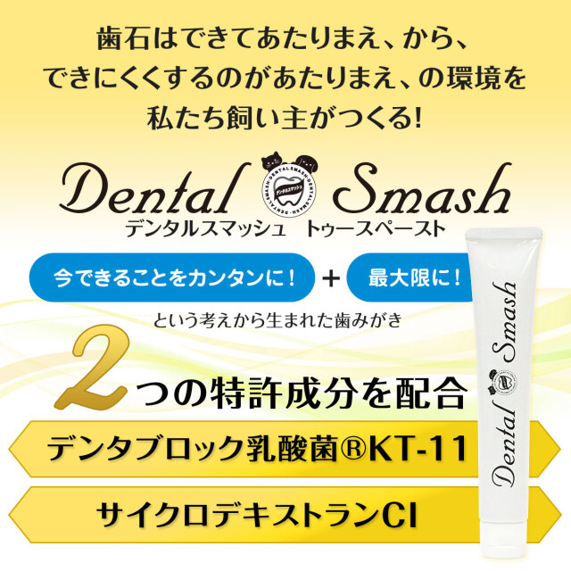 デンタルスマッシュ トゥースペースト 50g