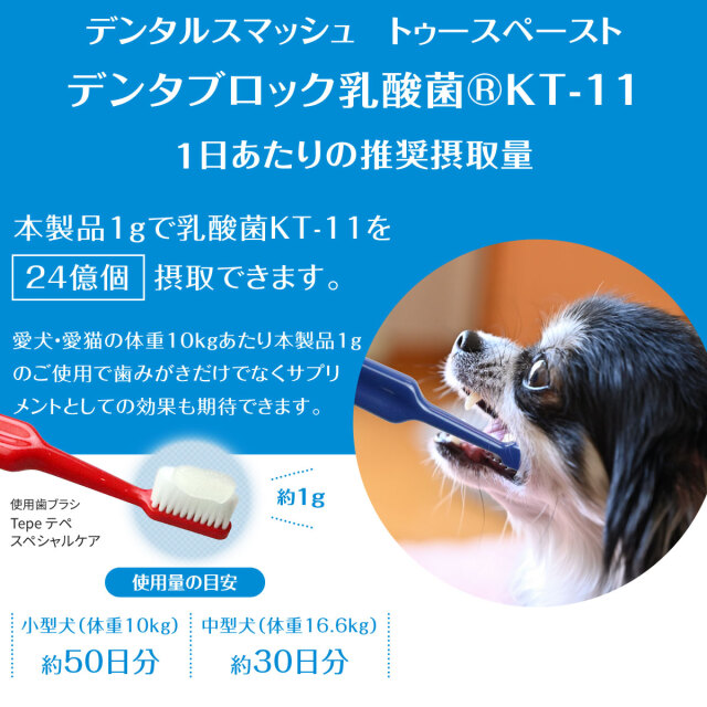 【数量限定・即日発送】トゥースペースト 10本セット デンタルスマッシュ トゥースペースト 50g