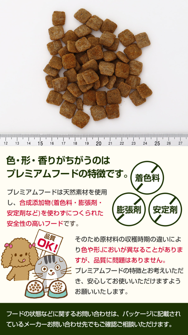 ソリッドゴールド ホリスティックブレンド 3kg