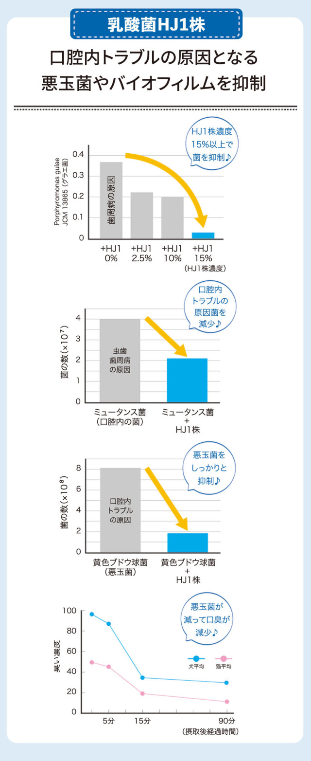 7月25日までの特別価格エイチジンバイオブレス４０ｇ入り　お得２個セット H&J 乳酸菌 エイチジンブレス 人用 120粒 追跡可能メール便のみ