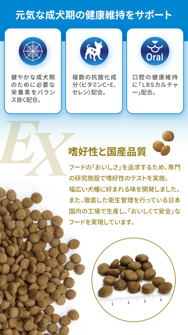 リニューアル済】プロフェッショナルバランス エクストラケア