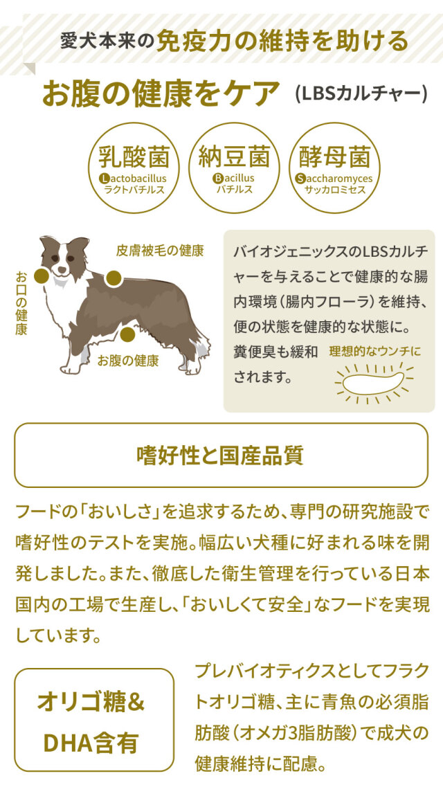 ペットライン プロフェッショナルバランス パウチ 1歳から成犬用