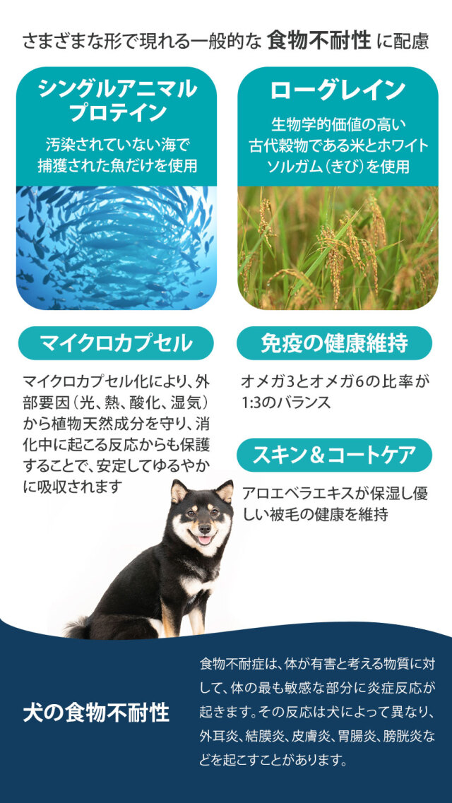 FORZA10 フォルツァディエチ デイリープロ アダルトミニ