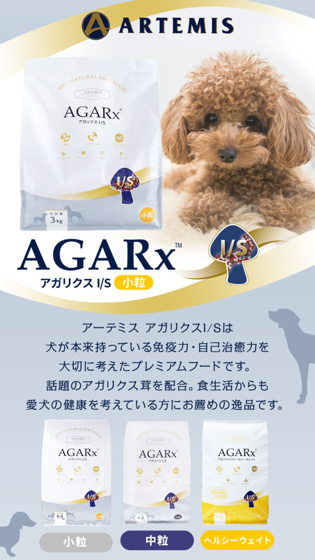 アーテミス アガリクスイミューンサポート(I/S)小粒は アーテミス アガリクスイミューンサポート(I/S)小粒は