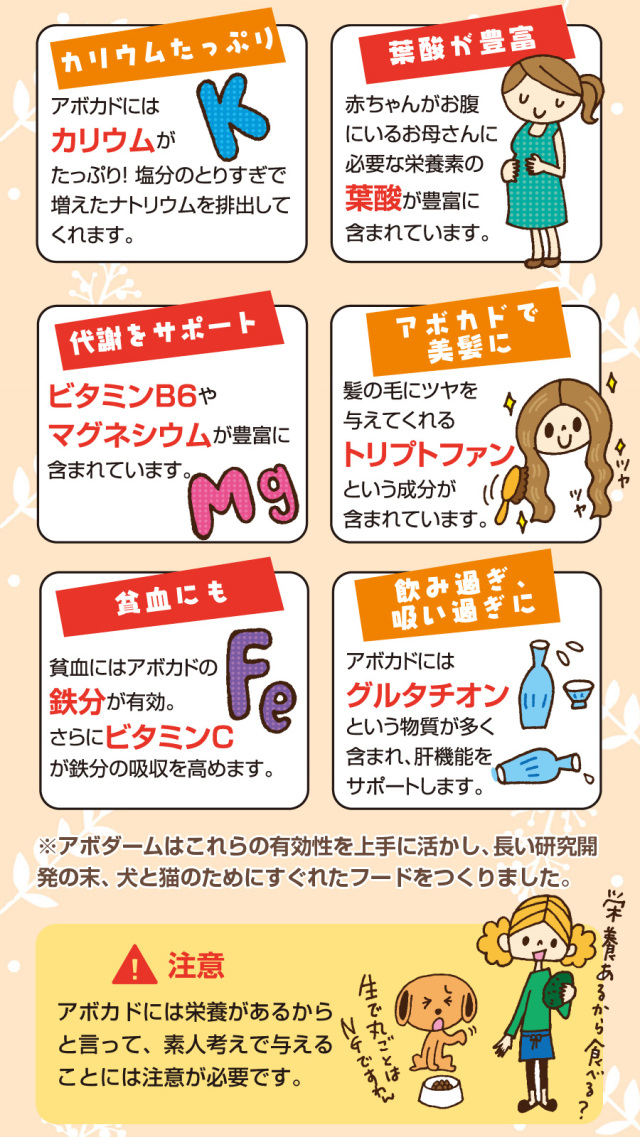 アボダームラム＆ライスはアボカドに含まれる豊富なビタミン・ミネラル
