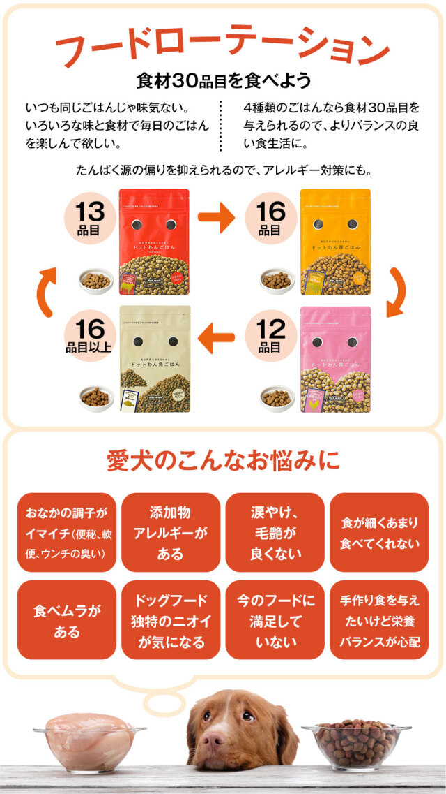 ドットわんごはん Red mind お得用パック 3kg【通常2-5ヶ月の賞味期限