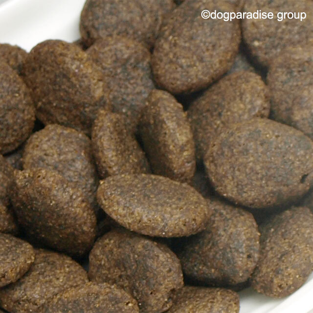 フィッシュ4ドッグ サーモン(小粒)15キロおまけ付き ファイネスト