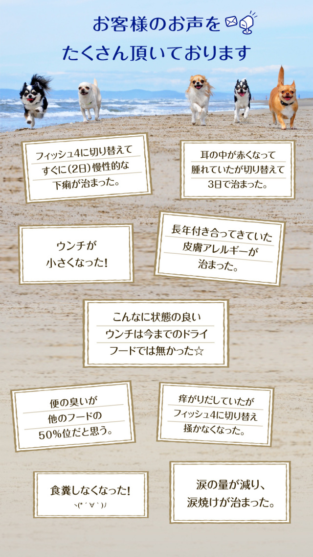 フィッシュ4ドッグ ファイネスト サーモン 大粒 12kg