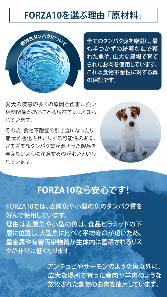 FORZA10 アダルトミニフィッシュ3.6kg 楽天市場】FORZA10 フォルツァ10 デイリープロ アダルト ミニ