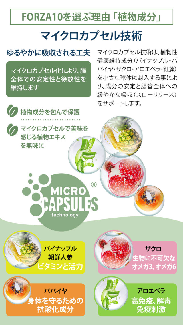 FORZA10 アダルトミニホース3.6kg Amazon.co.jp: フォルツァ10(Forza10) ドッグフード デイリー