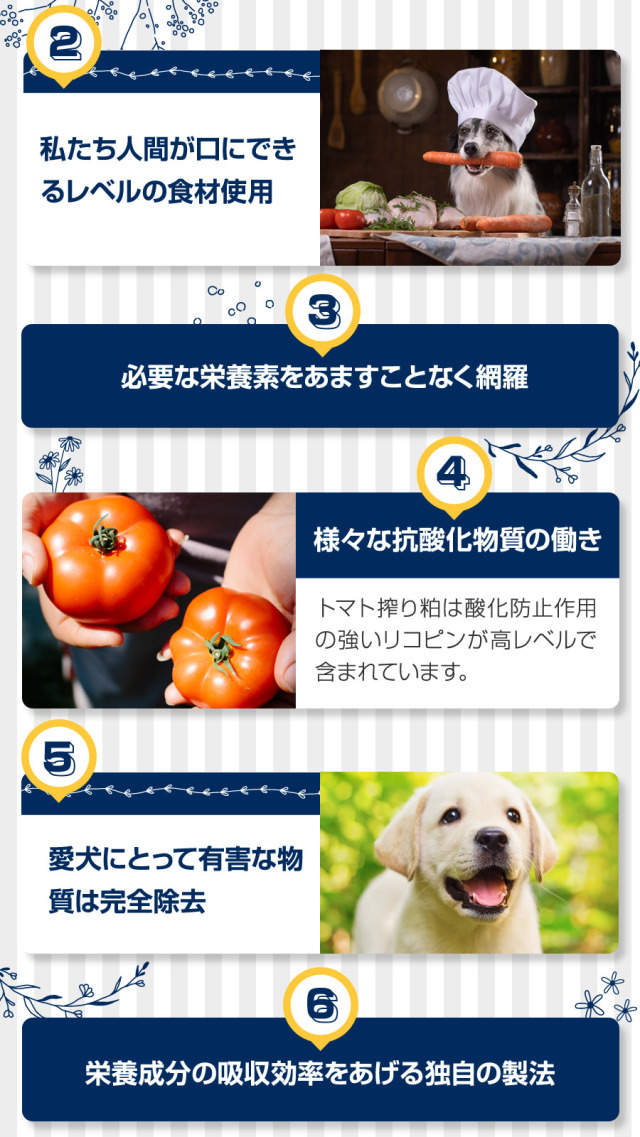 アーテミスのウエイトマネジメント＆スモールブリードシニアは